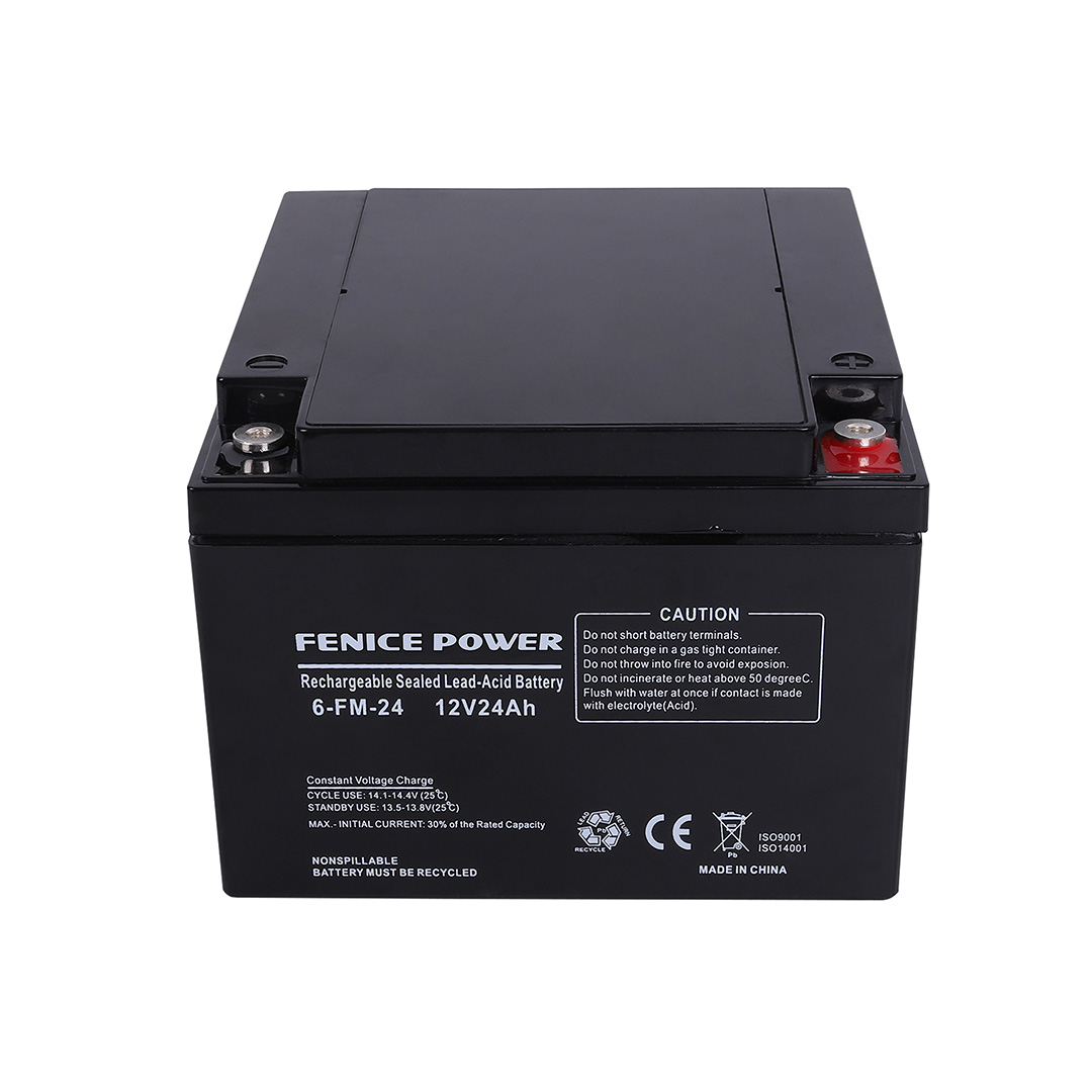 VRLA BATTERY 12V24AH